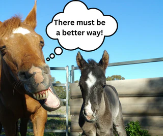 The Future of Foaling Technology